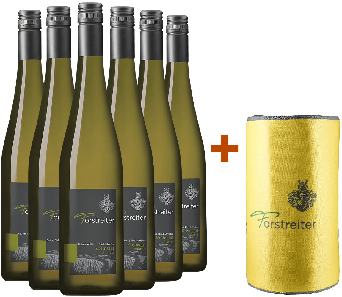 6er Paket Ried Schiefer inkl. gratis Kühlmanschette 6er Paket Ried Schiefer inkl. gratis Kühlmanschette