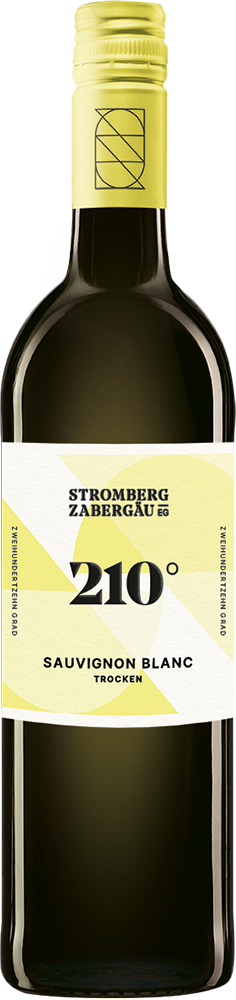 2024 210° Erkundung Sauvignon Blanc 2024 210° Erkundung Sauvignon Blanc