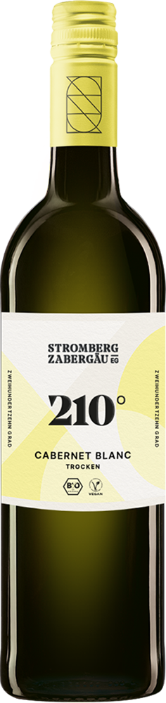 2024 210° Erkundung Cabernet Blanc BIO 2024 210° Erkundung Cabernet Blanc BIO