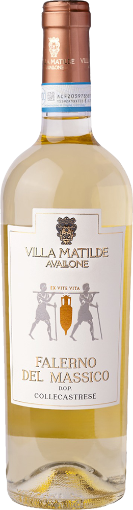 2019 Vigna Caracci Falerno del Massico Bianco DOC 2019 Vigna Caracci Falerno del Massico Bianco DOC
