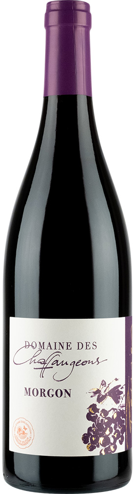 2023 Morgon AOP 2023 Morgon AOP