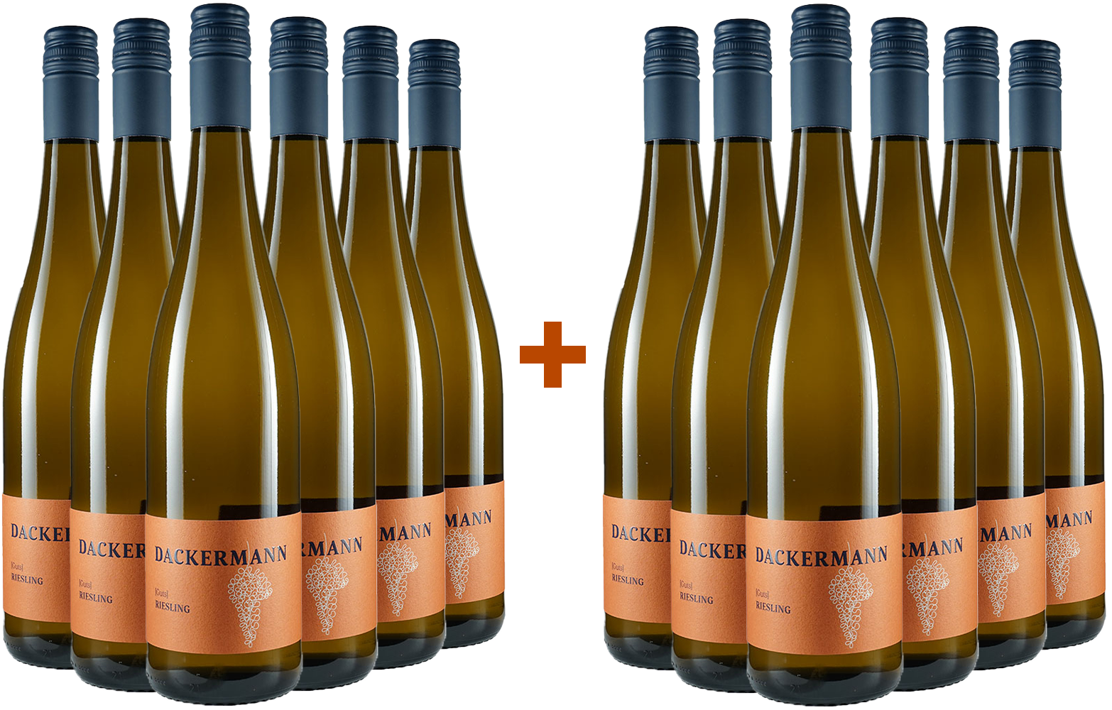6+6 Paket Riesling Gutswein trocken