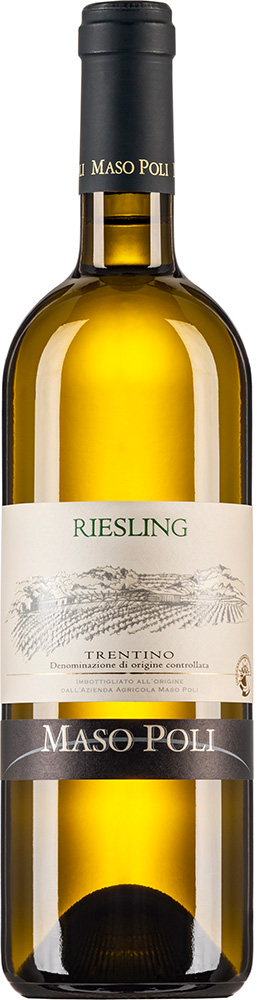 2023 Riesling Trentino DOC