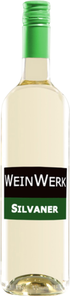 2025 WeinWerk Silvaner - So soll er sein