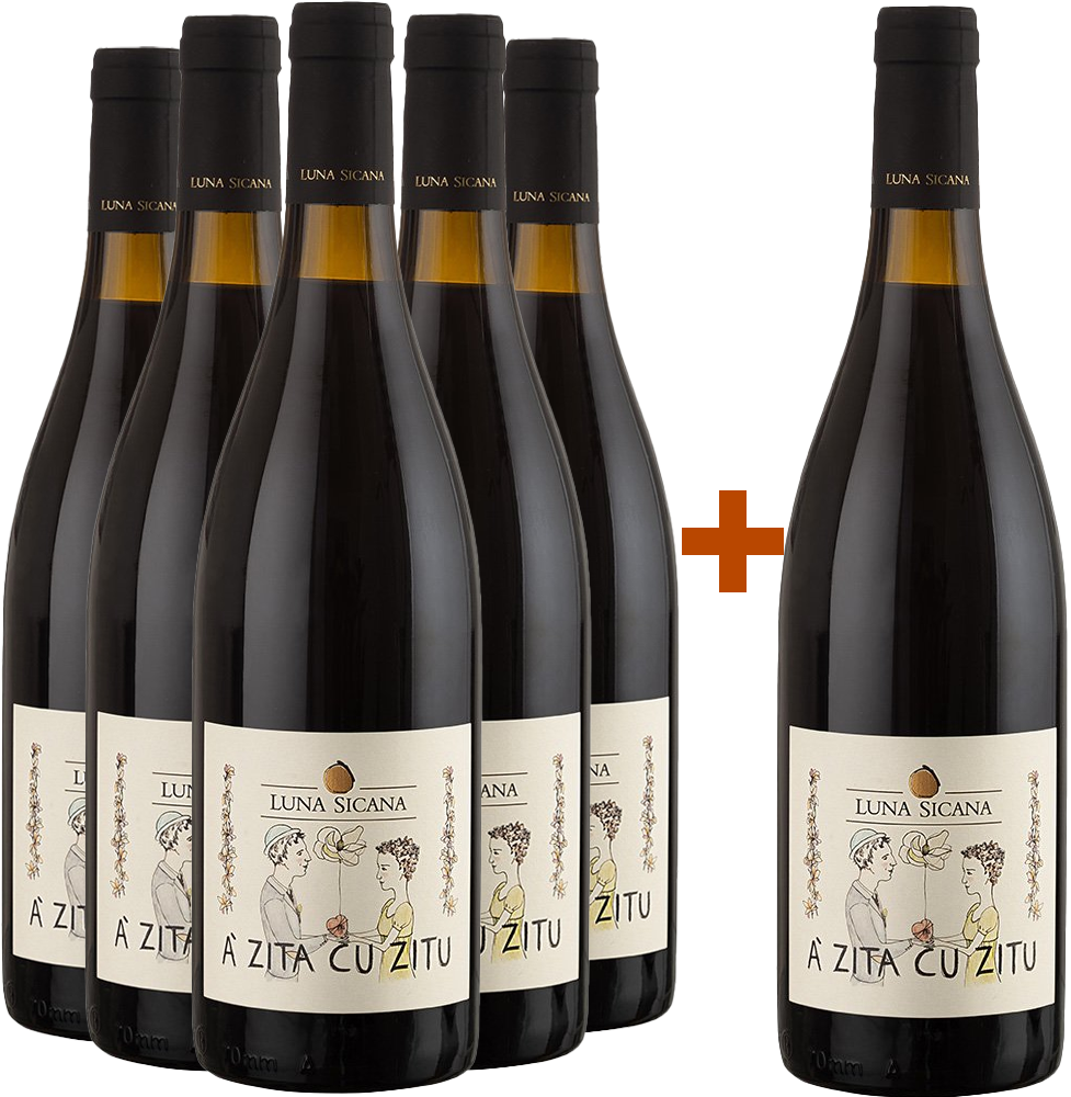 5+1 Paket 'A Zita Cu Zitu Sicilia DOC BIO BIO 5+1 Paket 'A Zita Cu Zitu Sicilia DOC BIO BIO