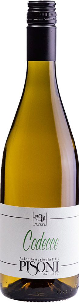 2024 Codecce Vigneti delle Dolomiti IGP BIO