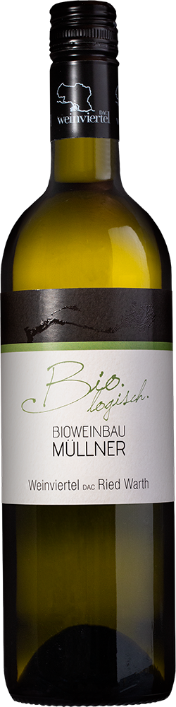 2025 Weinviertel DAC Warth BIO