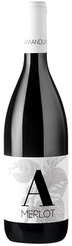 2017 Merlot Friuli Isonzo DOC