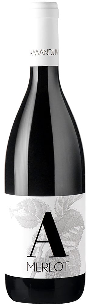 2017 Merlot Friuli Isonzo DOC 2017 Merlot Friuli Isonzo DOC