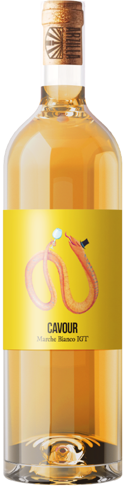 2023 Cavour IGP BIO