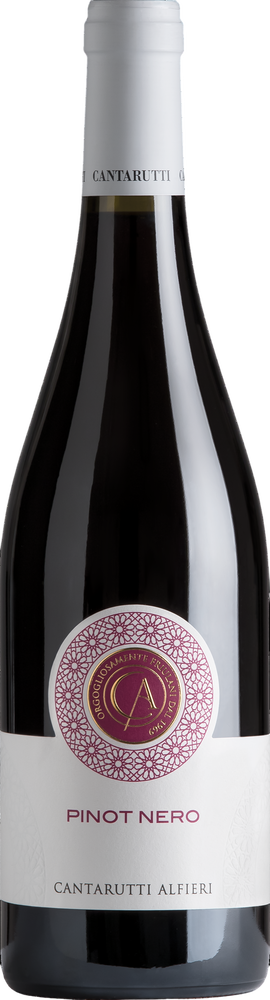 2024 Pinot Nero Friuli Colli Orientali DOC