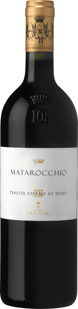 2019 Matarocchio