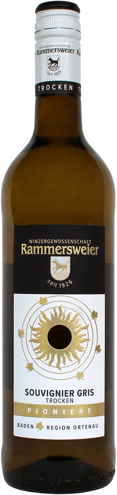 2024 Souvignier gris