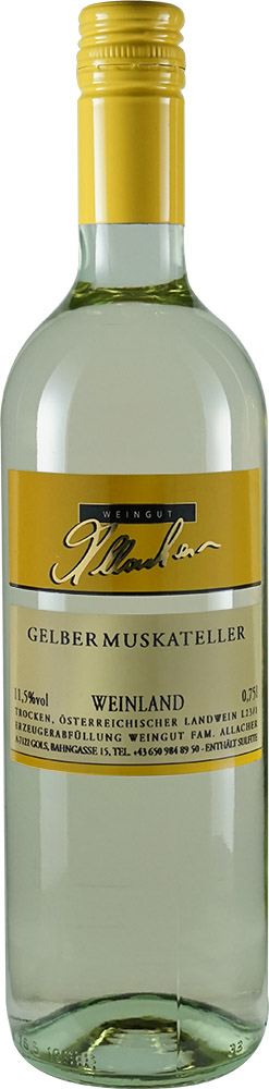 2024 Gelber Muskateller 2024 Gelber Muskateller