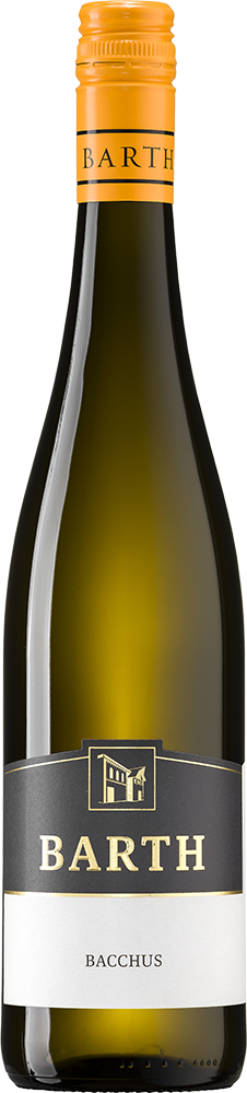 2024 Bacchus