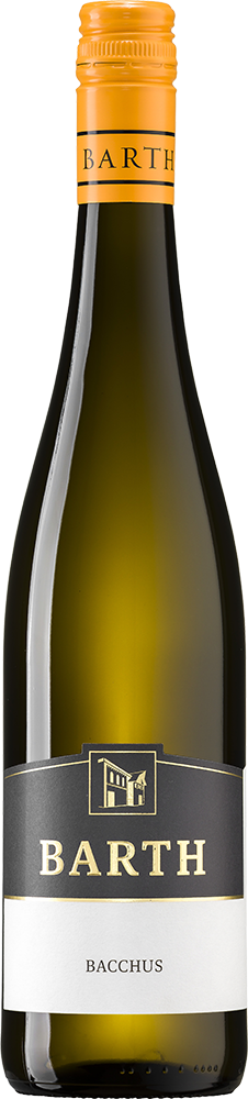 2024 Bacchus 2024 Bacchus
