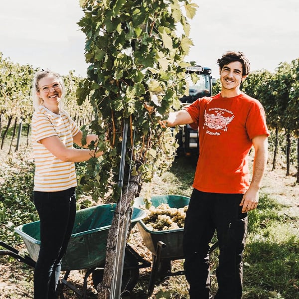 Winzerhof Mayer-Hörmann