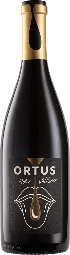 2023 "ORTUS" Roter Veltliner Ried Steinbruch 2023 "ORTUS" Roter Veltliner Ried Steinbruch
