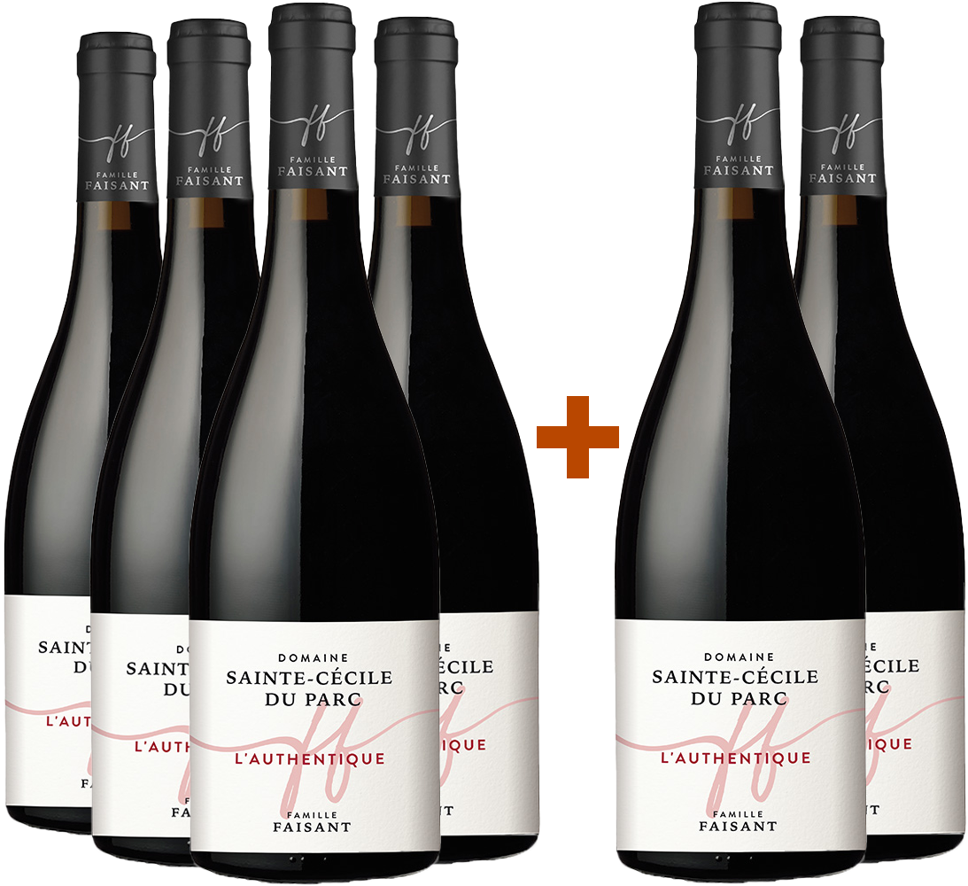 4+2 Paket Authentique