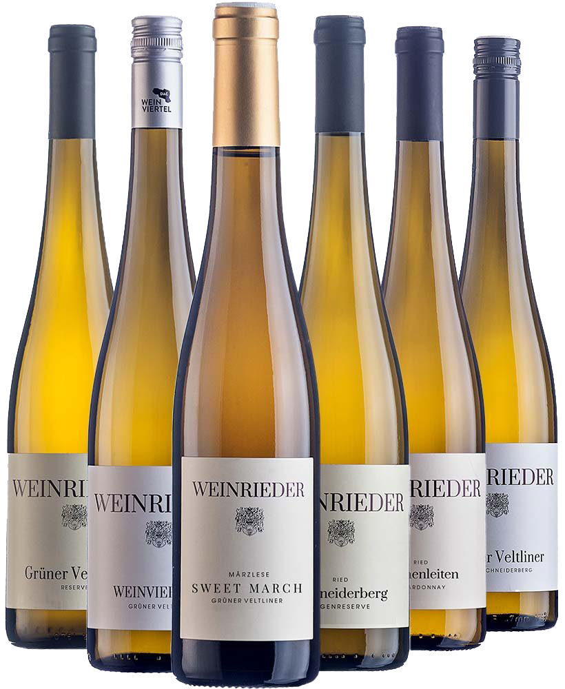 WEINRIEDER Best of Grüner Veltliner Paket