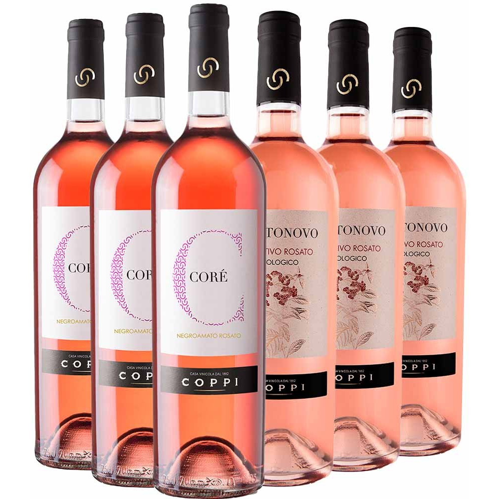 Cantina Coppi Rosè Kennenlern-Paket