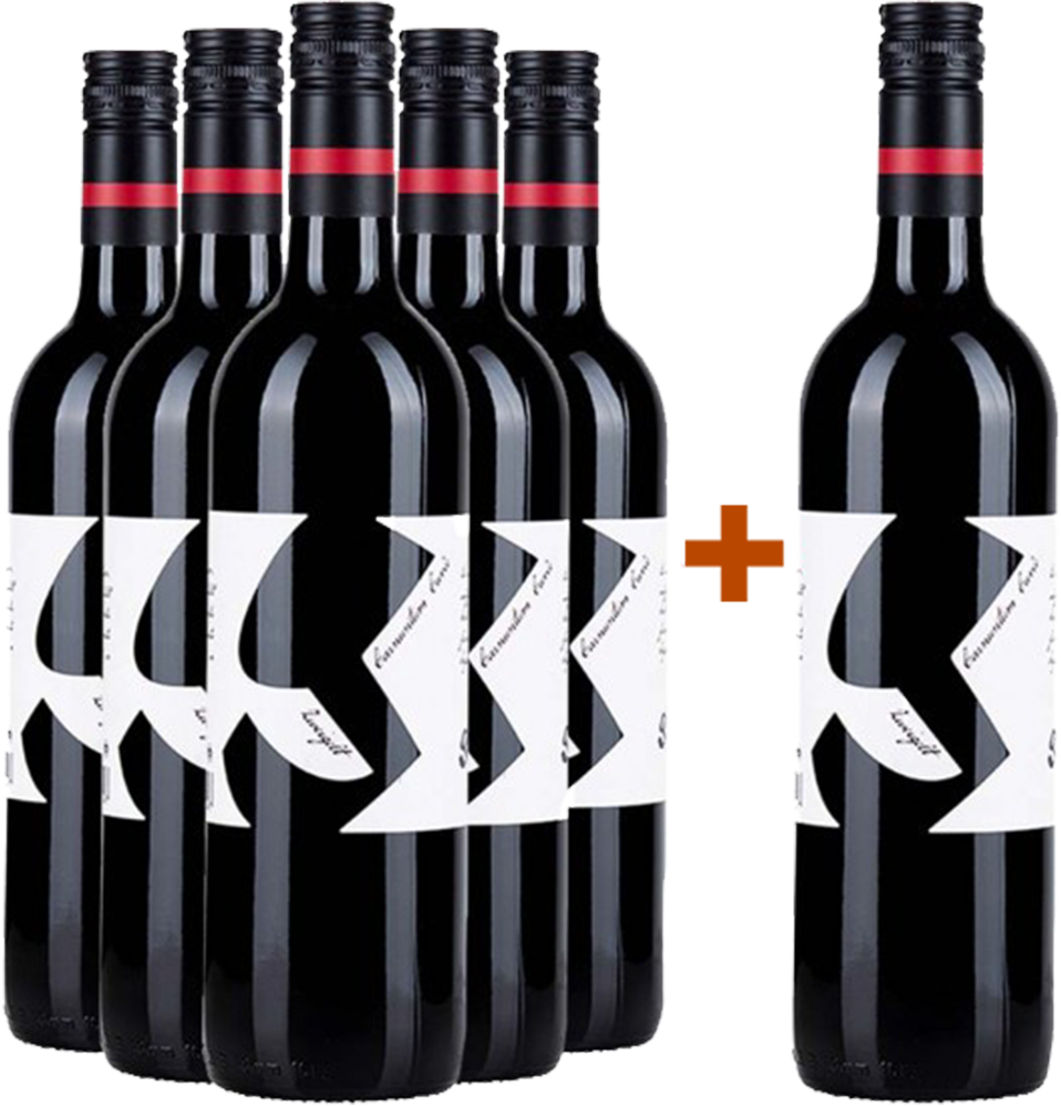 5+1 Paket Zweigelt Rubin Carnuntum DAC trocken BIO 5+1 Paket Zweigelt Rubin Carnuntum DAC trocken BIO