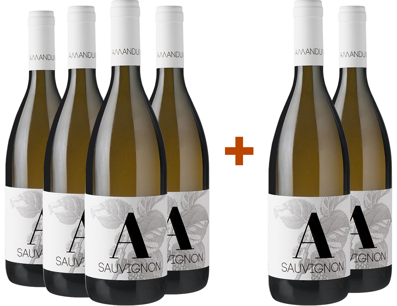 4+2 Paket Sauvignon Friuli Isonzo DOC