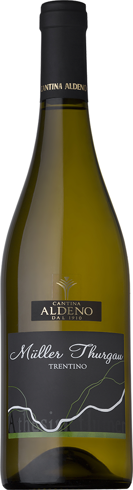 Müller Thurgau Trentino DOC