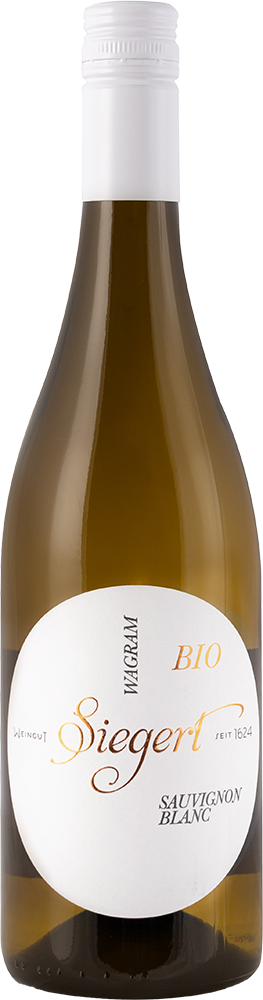 2024 Sauvignon Blanc BIO 2024 Sauvignon Blanc BIO