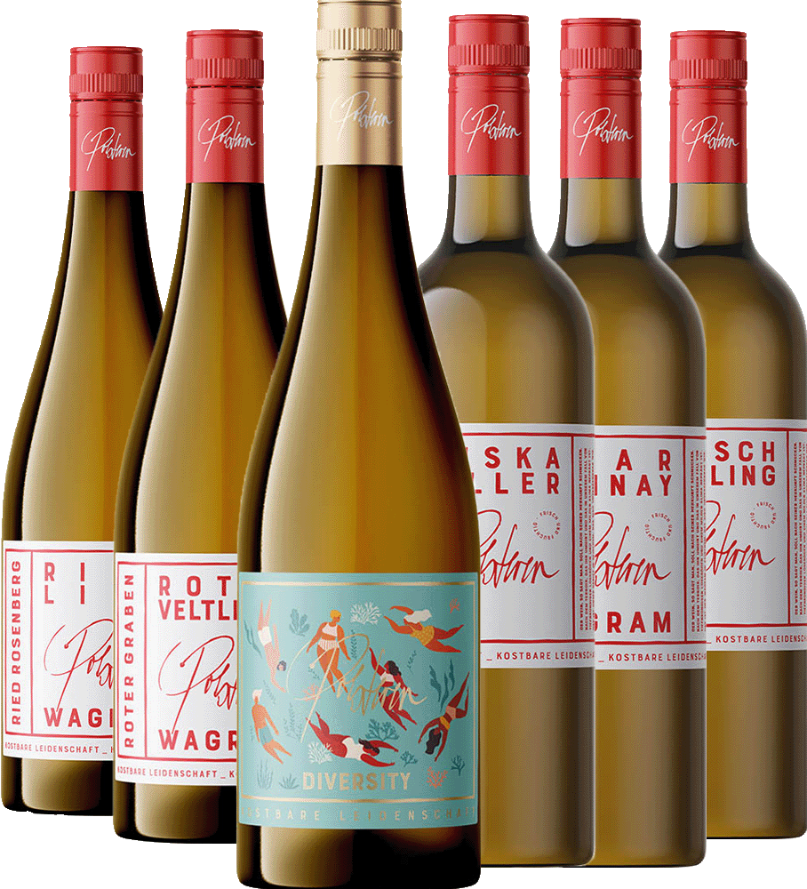 Wein Werk Polsterer Kennenlern-Paket trocken