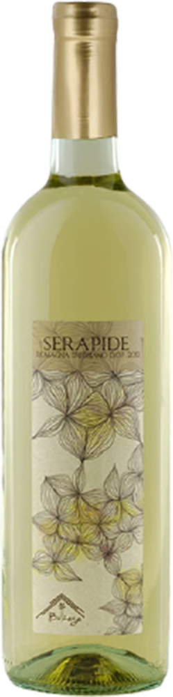 2024 Serapide BIO 2024 Serapide BIO