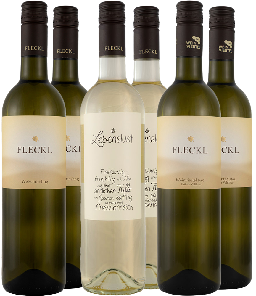 Weißwein-Paket trocken