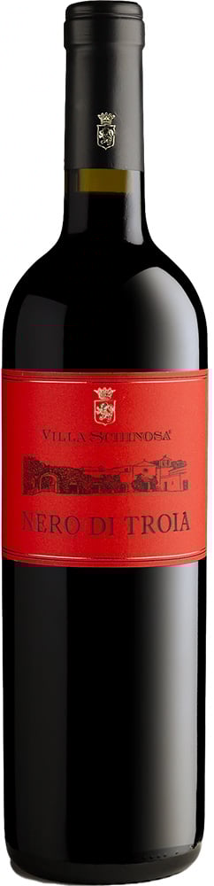 2021 Nero di Troia Puglia IGP 2021 Nero di Troia Puglia IGP