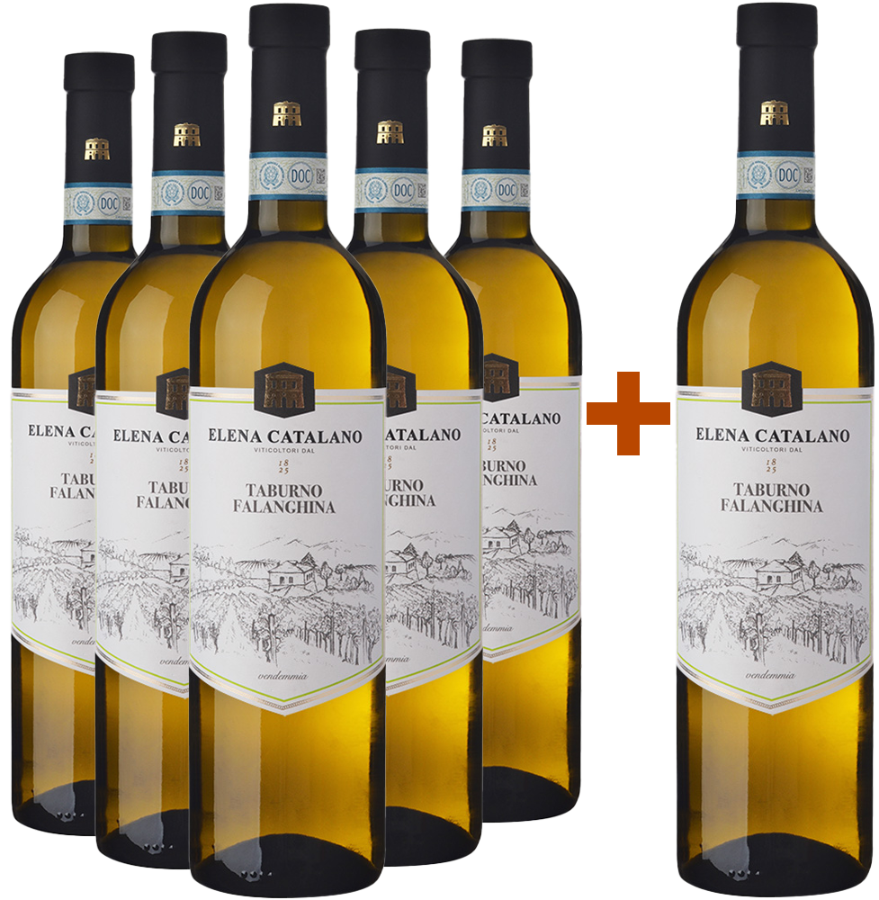 5+1 Paket Falanghina Del Sannio Taburno DOC 5+1 Paket Falanghina Del Sannio Taburno DOC