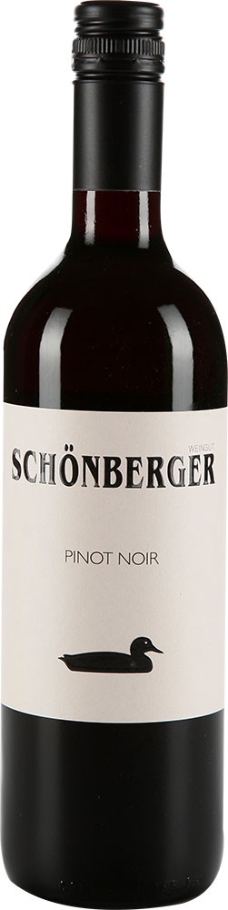 2020 Pinot Noir BIO