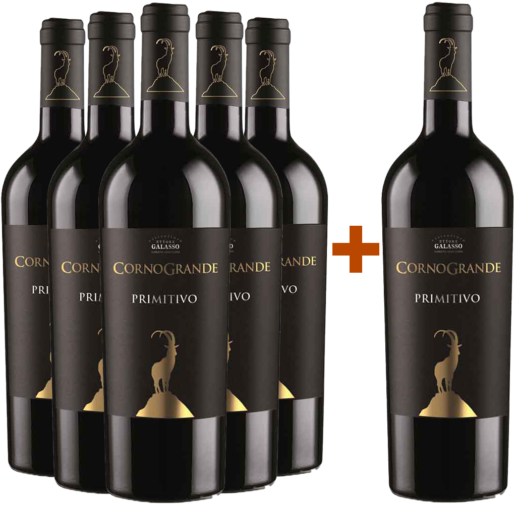 5+1 Paket Corno Grande Primitivo Colli Pescaresi IGP