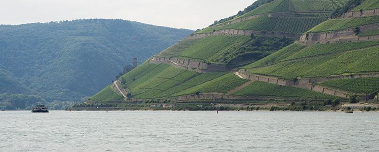 Weingut Georg Breuer 