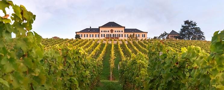 Weingut Schloss Johannisberg 