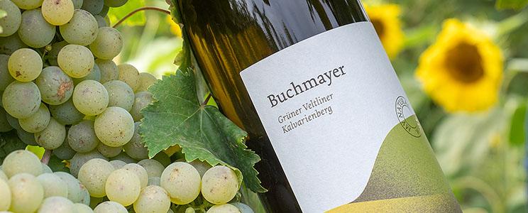 Weingut Buchmayer 