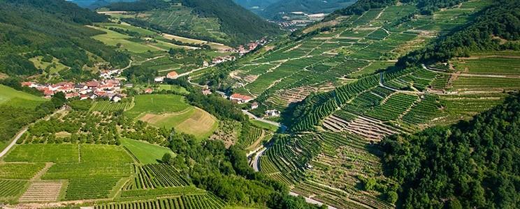 Domäne Wachau: Qualitätswein