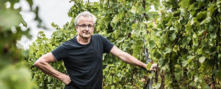 Weingut und Weinstube Marienhof 