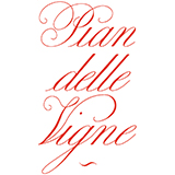 Pian delle Vigne 